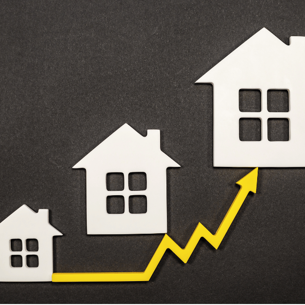 Building Material Prices: 0.3% Fall in July 2024